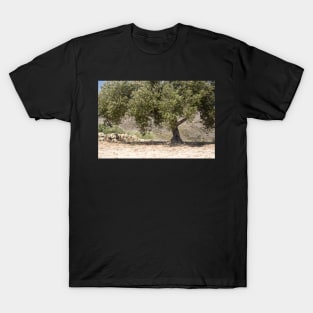 Orchard tree. T-Shirt